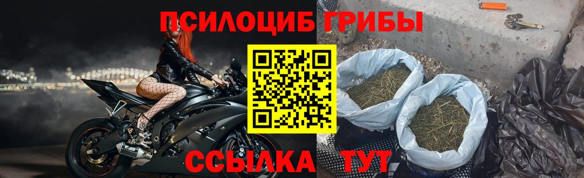Новокубанск  Псилоцибиновые грибы GOLDEN TEACHER  Вход с VPN 